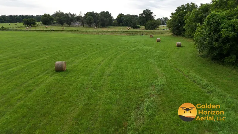 Hay Rolls